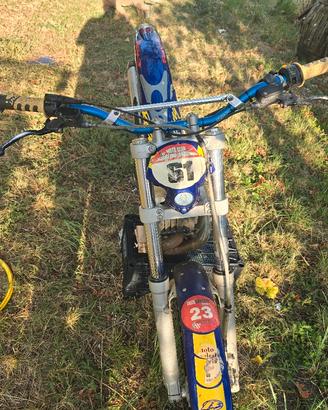 beta trial 250