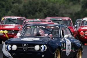 GTAm  Alfa Romeo  elaborata Monguzzi