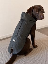 Impermeabile per cane verde scuro con cappuccio