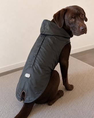 Impermeabile per cane verde scuro con cappuccio