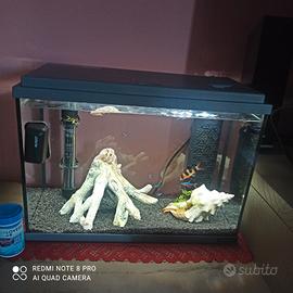 Acquario 40 LITRI