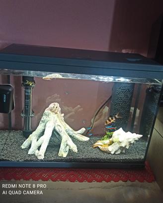 Acquario 40 LITRI