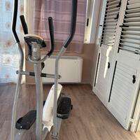 Palestra