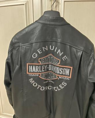 Giubbino Harley Davidson in pelle