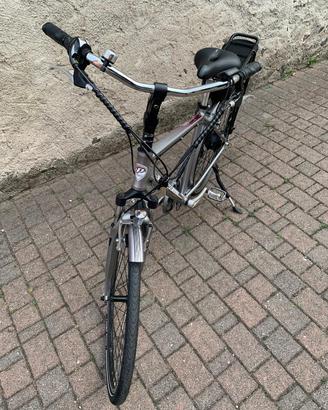 Bici elettrica da uomo