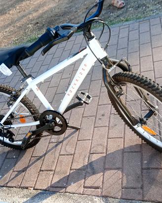 Bicicletta taglia 20