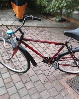 Bici da città city bike da uomo color rosso
