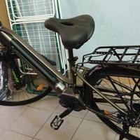 bici elettrica 