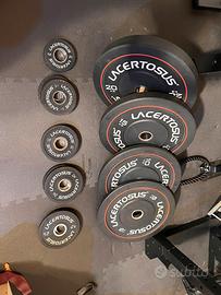 Pesi Lacertosus PRO olimpionici 165kg - set bumber
