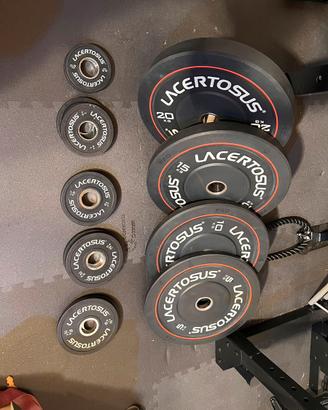 Pesi Lacertosus PRO olimpionici 165kg - set bumber