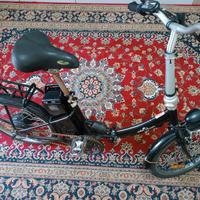 Bicicletta elettrica 