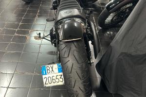 harley special softail