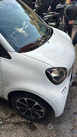 Smart fort two twinamic passion 