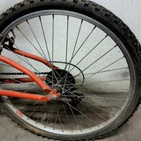 Bicicletta Sportiva Uomo