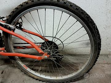 Bicicletta Sportiva Uomo