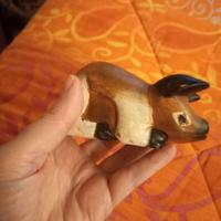 animaletto