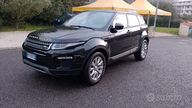 permuta evoque 