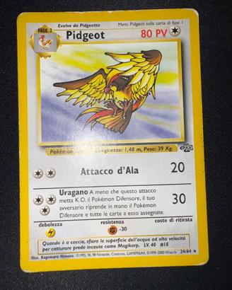 Pidgeot Jungle 24/64