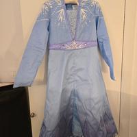 Costume di carnevale Frozen