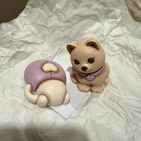 Coppia Gatto Coccinella Thun Bauli