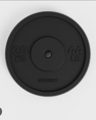dischi in ghisa 20 kg 28mm