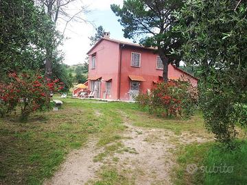 Terreno agricolo Loc. SASSO