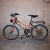 Mountain Bike bimba