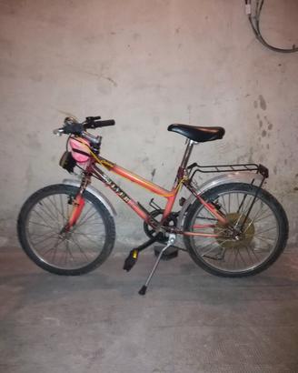 Mountain Bike bimba