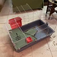 Gabbia 80x50 h.42 + fieno e segatura