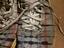 Immagine 3