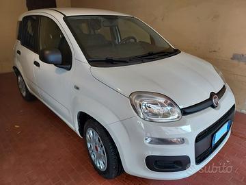 FIAT Panda 3ª serie - 2019 - PERFETTA