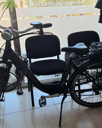 bici elettrica E-Bike Montana City Bike E-Powered