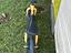 Immagine 3
