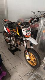 Pit Bike Ayrton legend 190