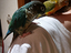 Immagine 2