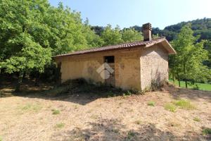 RUSTICO A POGGIO NATIVO