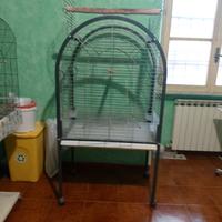 gabbia uccelli grandi
