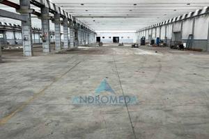 Immobile di 8400 m² con 5 locali a Sparanise