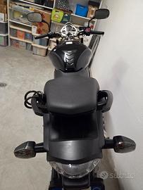Honda Hornet 