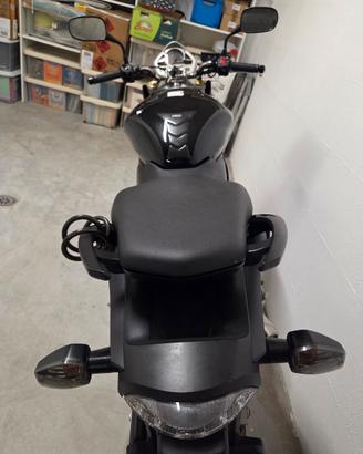 Honda Hornet 