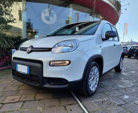 FIAT Panda 1.0 70CV FireFly S&S Hybrid #VARI COL