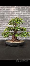 Bonsai Artificiale