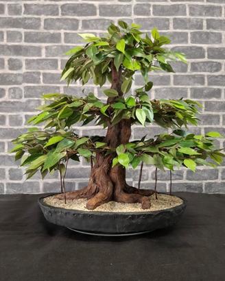 Bonsai Artificiale