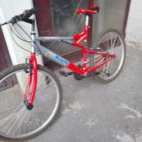 bicicletta
