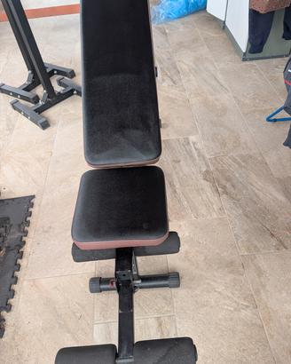 Palestra 