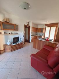 Stanza libera in appartamento condiviso - Vicenza