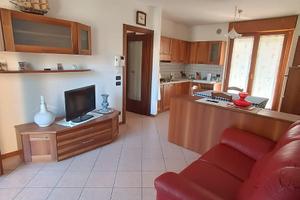 Stanza libera in appartamento condiviso - Vicenza