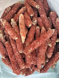 Tutoli per barbecue ed accendifuoco 