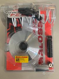 Variatore multivar malaguti centro 125