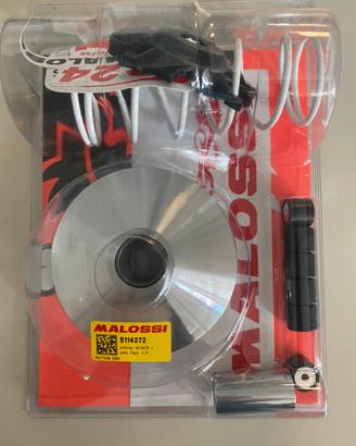 Variatore multivar malaguti centro 125